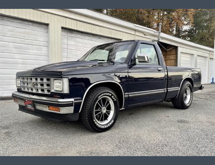 Thumbnail Photo undefined for 1989 Chevrolet S10 Pickup 2WD Regular Cab
